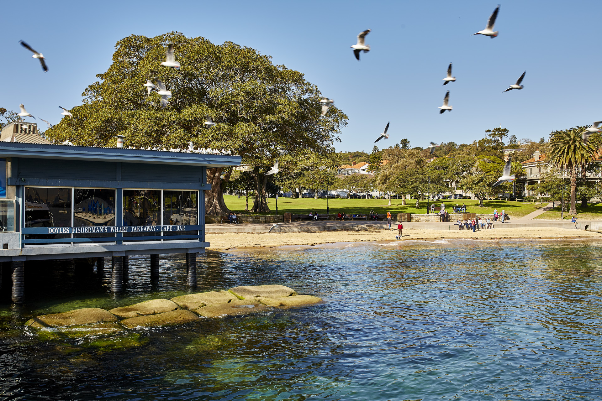 Cleary Homes » Watsons Bay Live, Love, Sell